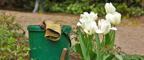 Example of amateur composting